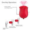 ROSE Klitoris ve Göğüs Uyarıcı Emiş Güçlü ve Dil Hareketli 2 in 1 Vibratör